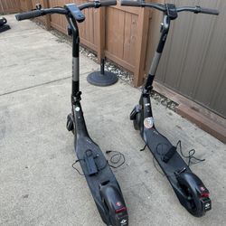 Bird Scooters