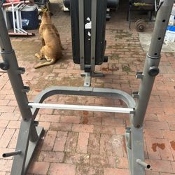 Weight Bench 