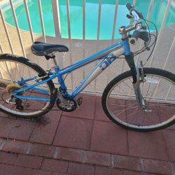 Diamondback Mountain Bike