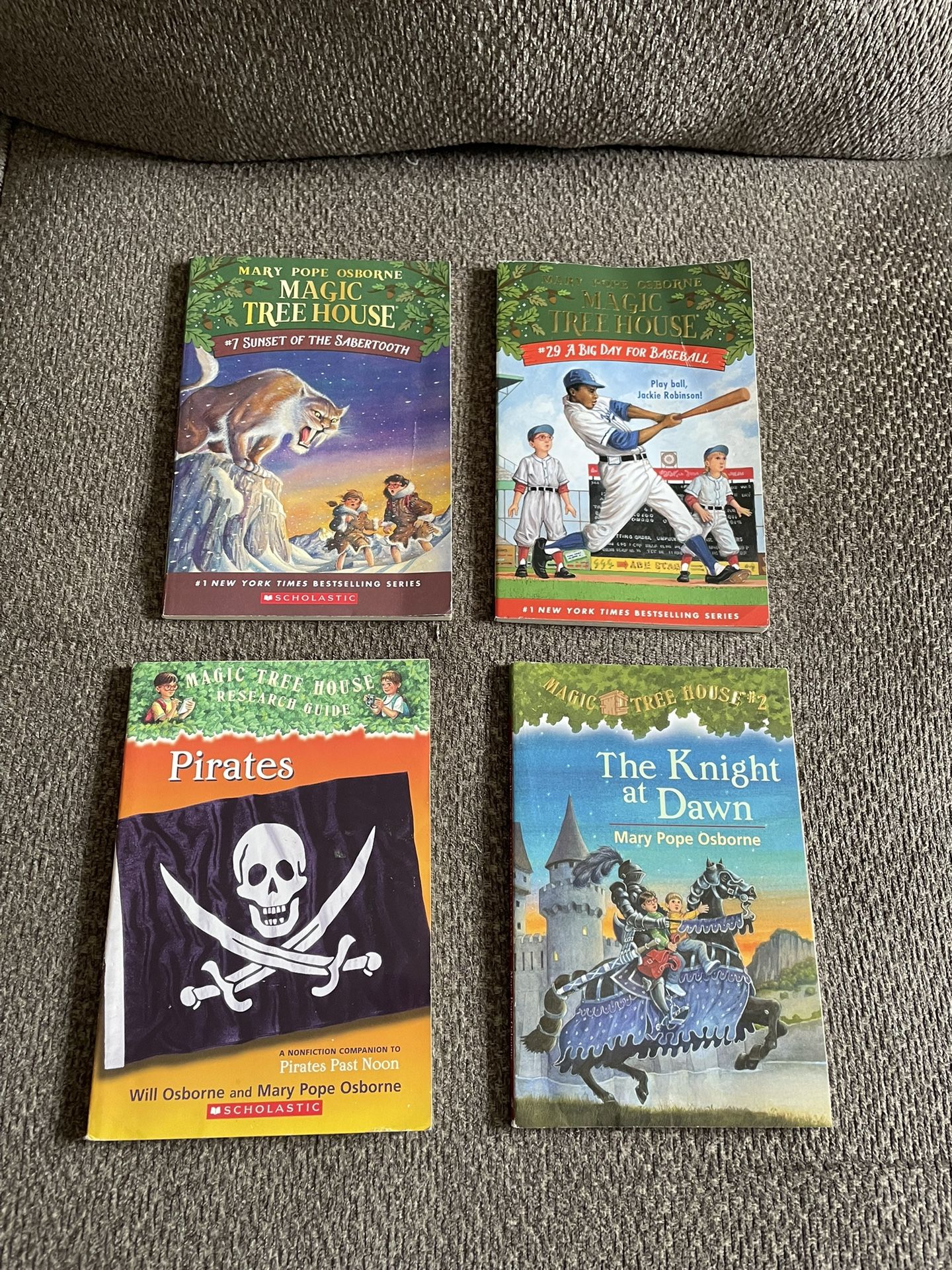 Magic Tree House children chapter paperback book bundle