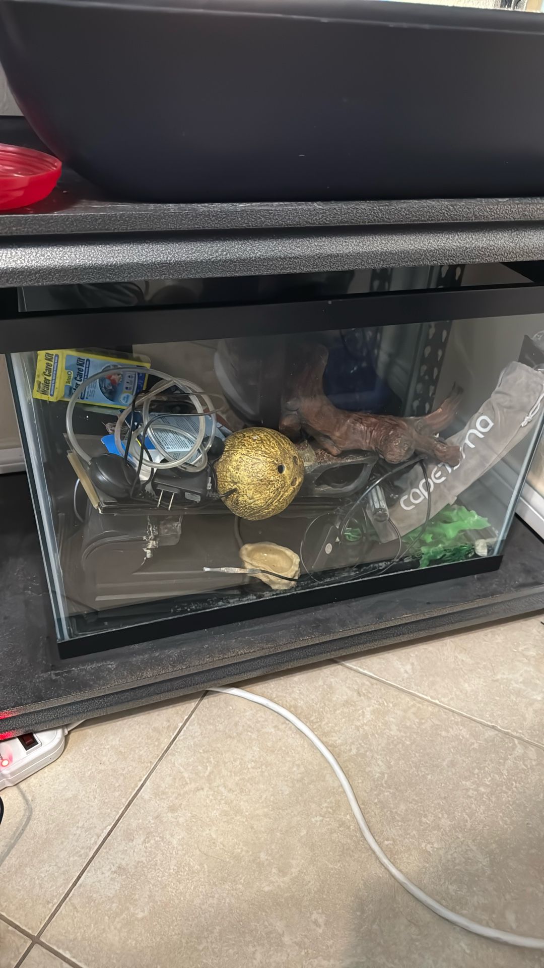 20 Gallon Tank