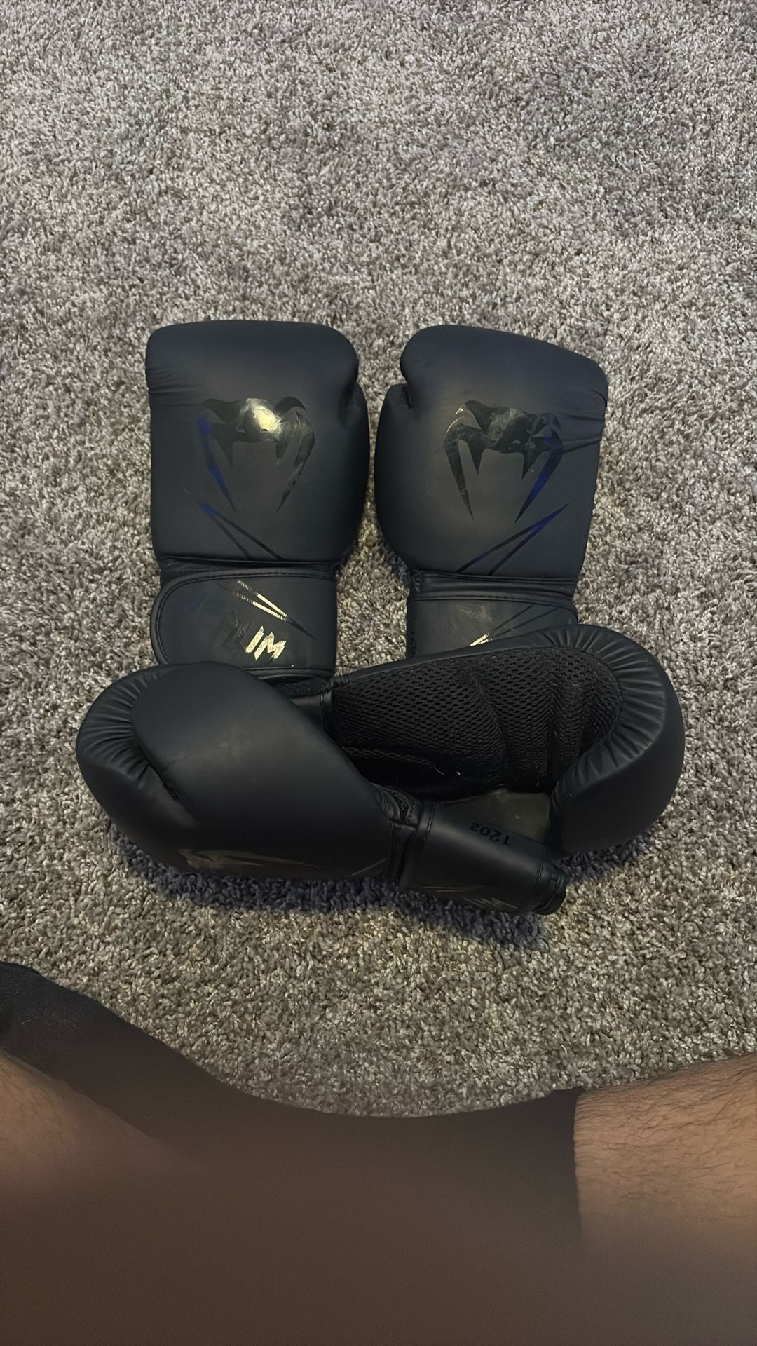 Venom Boxing Gloves