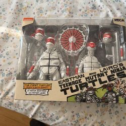 Ninja Turtle Action Figure 