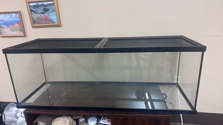 Reptile Tank (60-80 gallons)