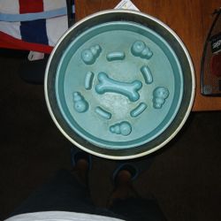 Dog Bowl (Slow-feeder)