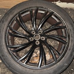 22” 95” Life Thread 