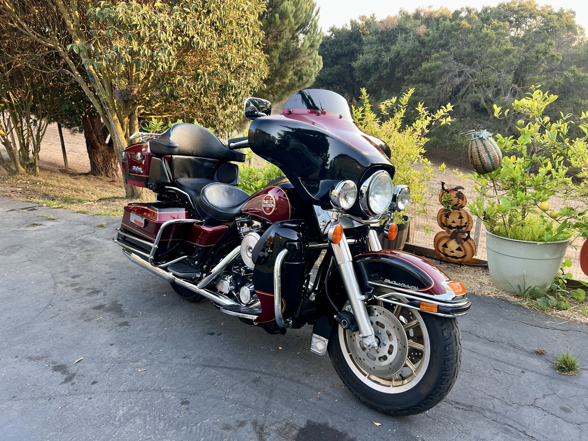 1995 Harley Davidson Electra Glide