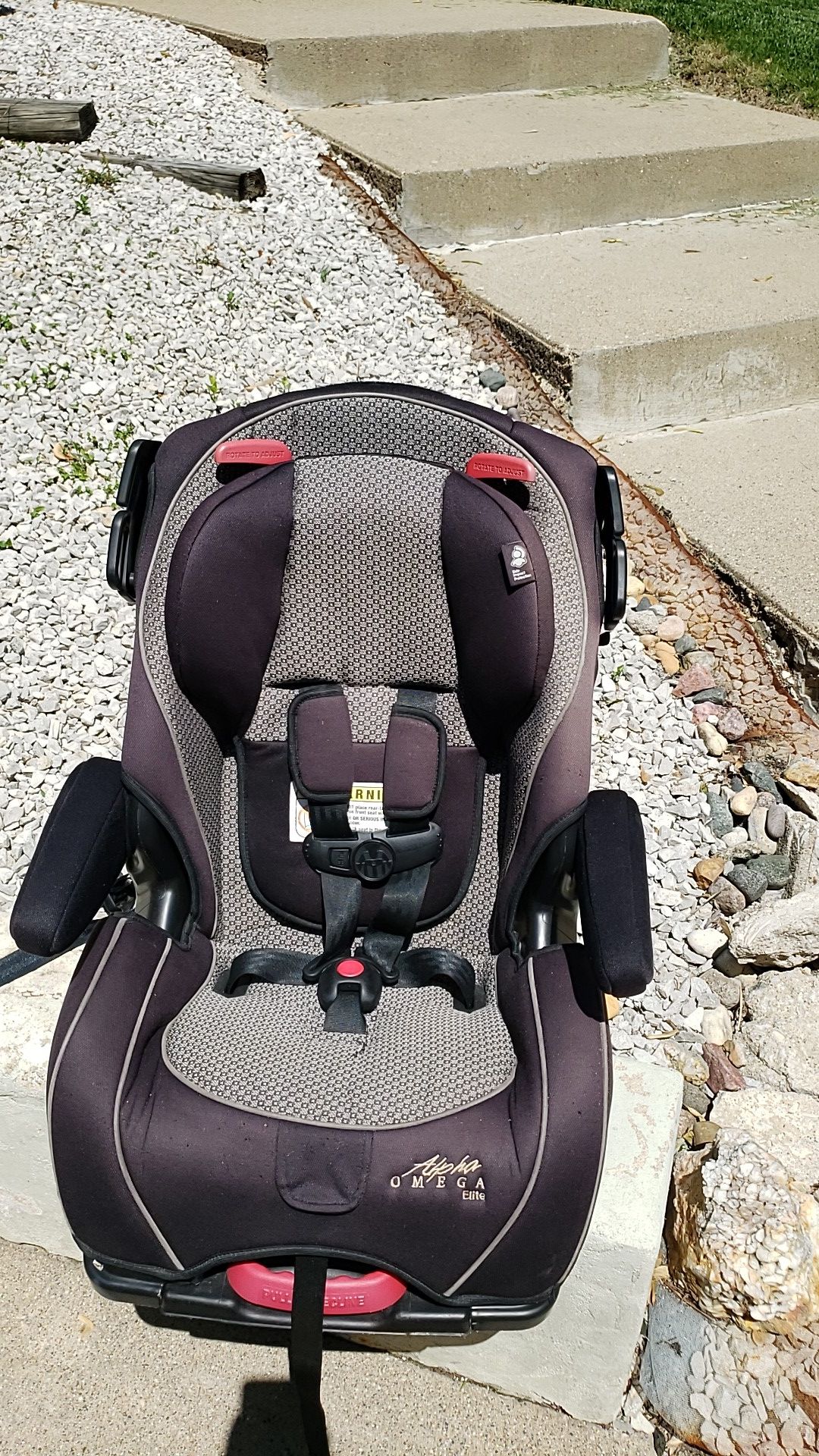 Alpha Omega convertible 5 point car seat.