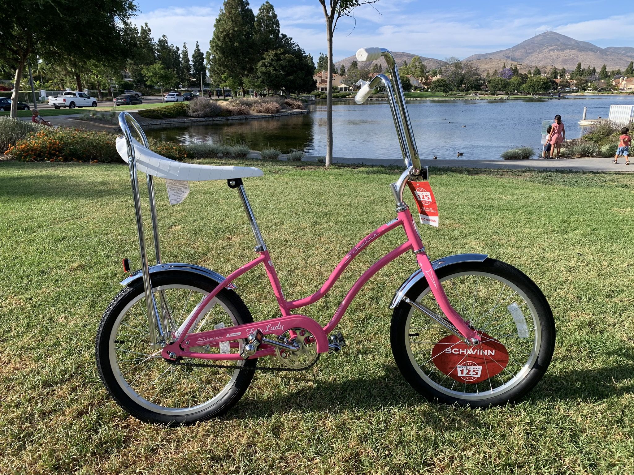 New Awesome Schwinn Classic Stingray Vintage Cruiser Bike New Awesome Schwinn Classic Stingray Vintage Cruiser Bike