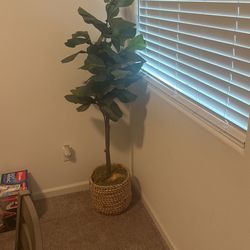 Fake Tree Plant