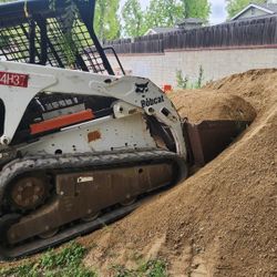 Bobcat 