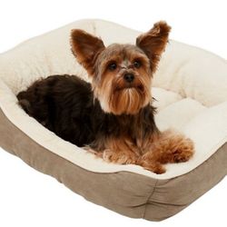 Chewy Dog Bed 🐾🐾🐾
