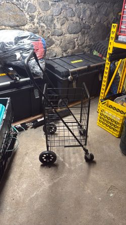 Push Cart