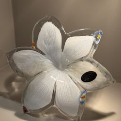 Murano 8” Hand Blown 6 Petal Curled Stem Flower Art