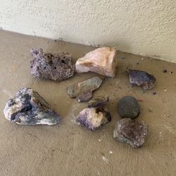 Fish Tank In Picks Make Offer