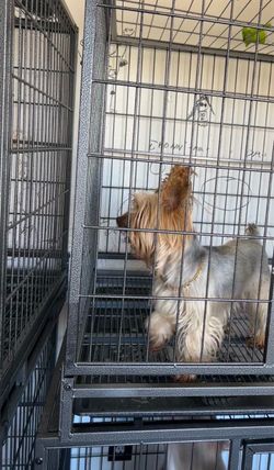 Cage kennel