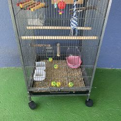 Bird Cage Attachments Included!$60