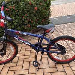Schwinn Falcon Bike For Kids