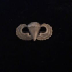 Sterling Silver US Army Airbone Jump Wings Vietnam Pin Badge