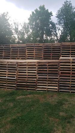 Pallets for Sale 48×40