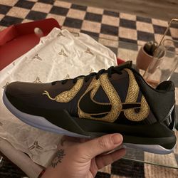 Kobe V  Protro “Year Of The Mamba Eggplant”