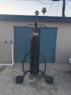 Pro boxing punching bag