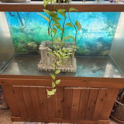 100 Gallon Fish Tank with Cabinet 