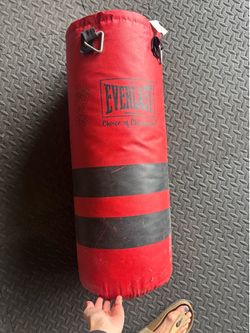 Everlast Punching bag
