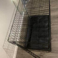 Large Breed Dog Cage