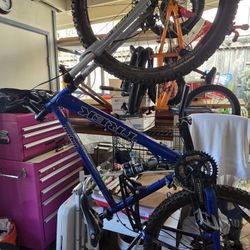 Trek 21 Speed Mountaim Bike