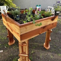 Raised Garden Bed
