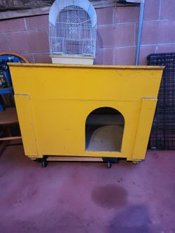 Dog House