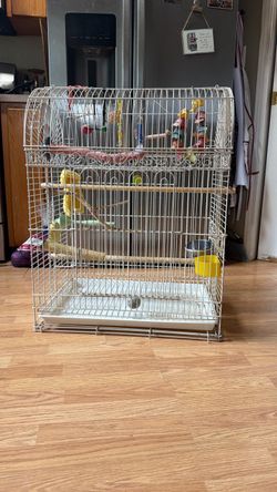 Large bird cage
