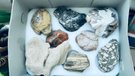 Stunning Mixed Rock and Mineral Specimen Collection