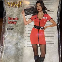 Felony Dress Costume 