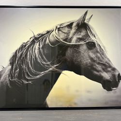 Horse Frame 