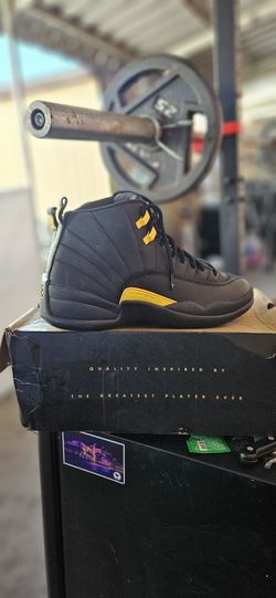 Air Jordan 12 Size 10 Men