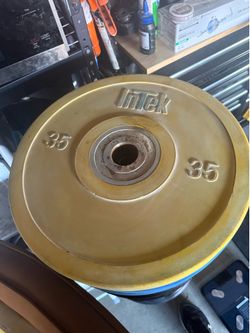 Intek 35s x 4 140 lbs bumper weights and excel