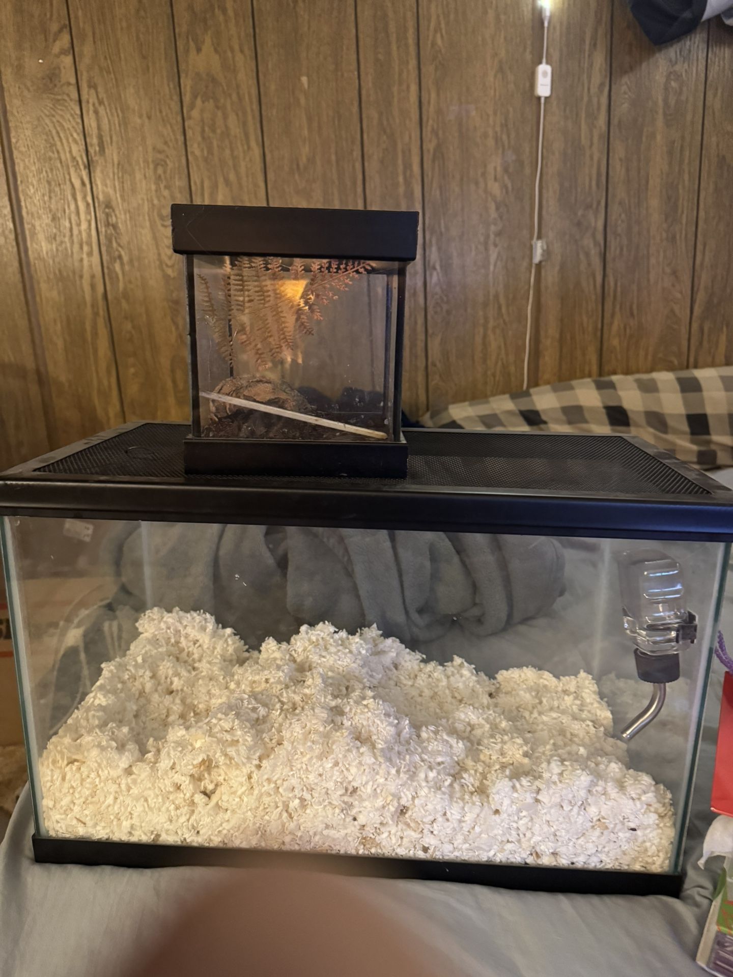 Aquarium Tank 20gal for Sale in City Of Industry, CA OfferUp