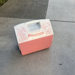 Playmate Ice Chest 