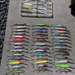 50 Fishing Lures and Carrying Case
