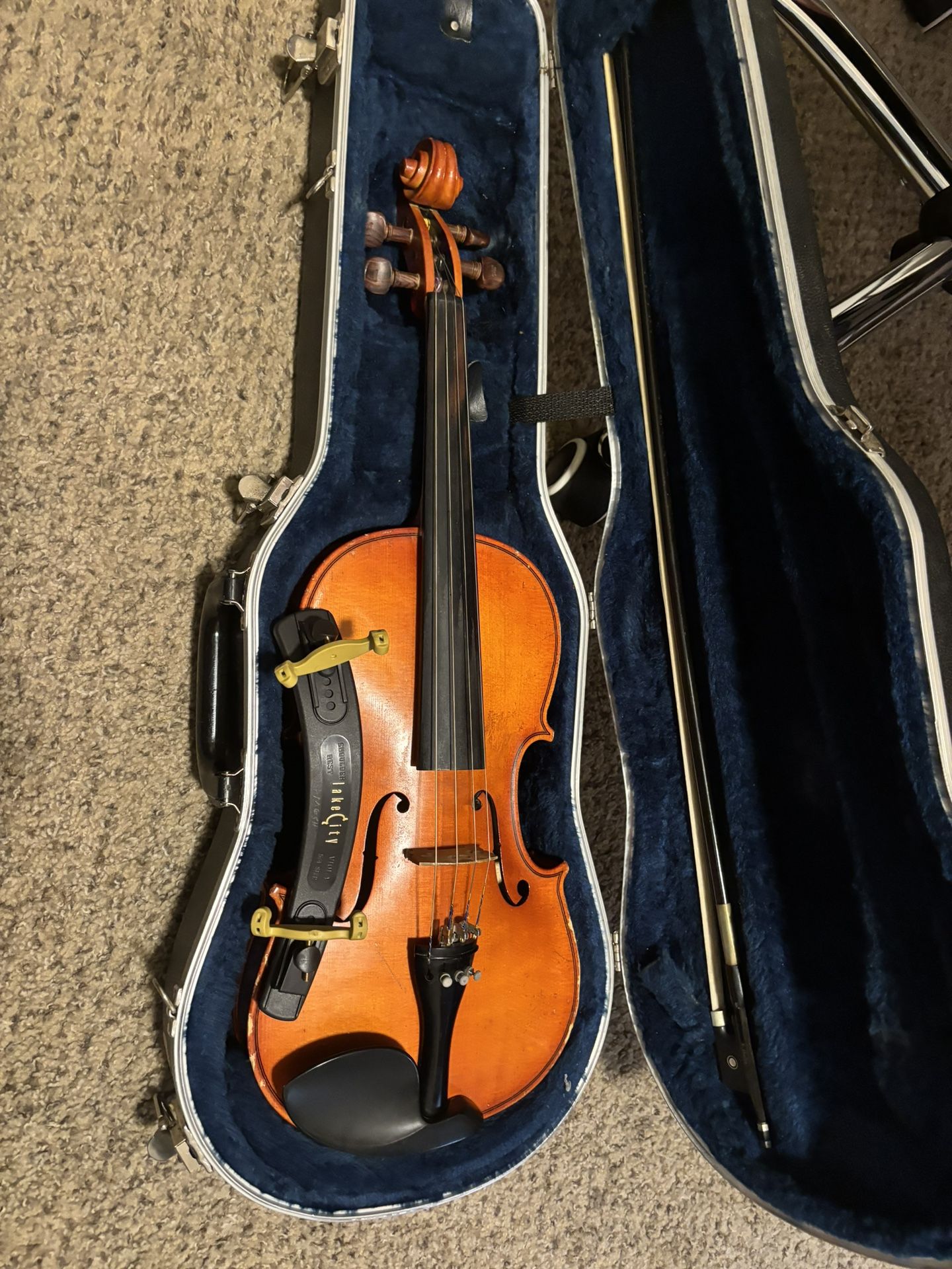 Viola