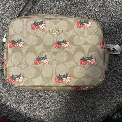Coach Strawberry Mini Camera Bag