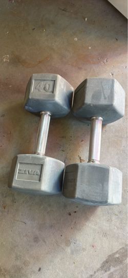 Ziva 40 lb Hex Dumbbells Pair