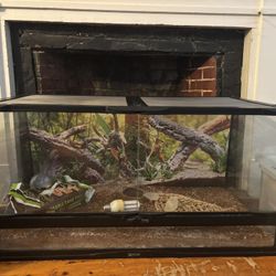 Reptile tank 