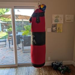 Boxing Punch Bag With Chain 