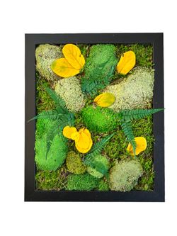 Preserved Moss Wall Decor with Artificial Petals - 16x13