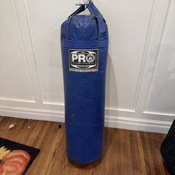 Punching Bag