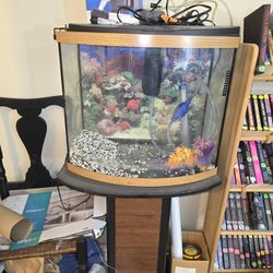 26 Gal Bowfront Aquarium, Stand, Complete Setup & Extras