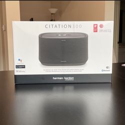 Smart Speaker 
